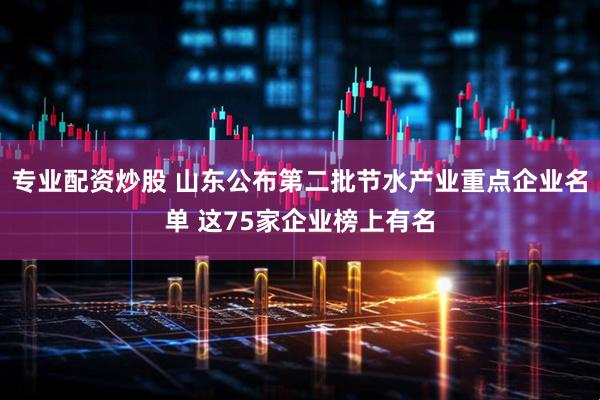 专业配资炒股 山东公布第二批节水产业重点企业名单 这75家企业榜上有名