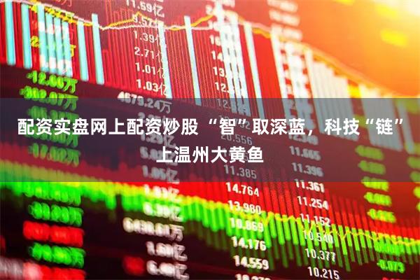 配资实盘网上配资炒股 “智”取深蓝，科技“链”上温州大黄鱼